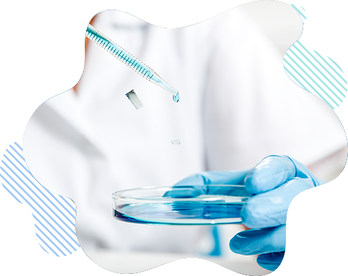 bacteriología